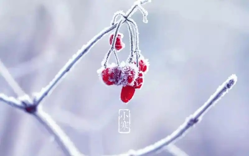 小寒