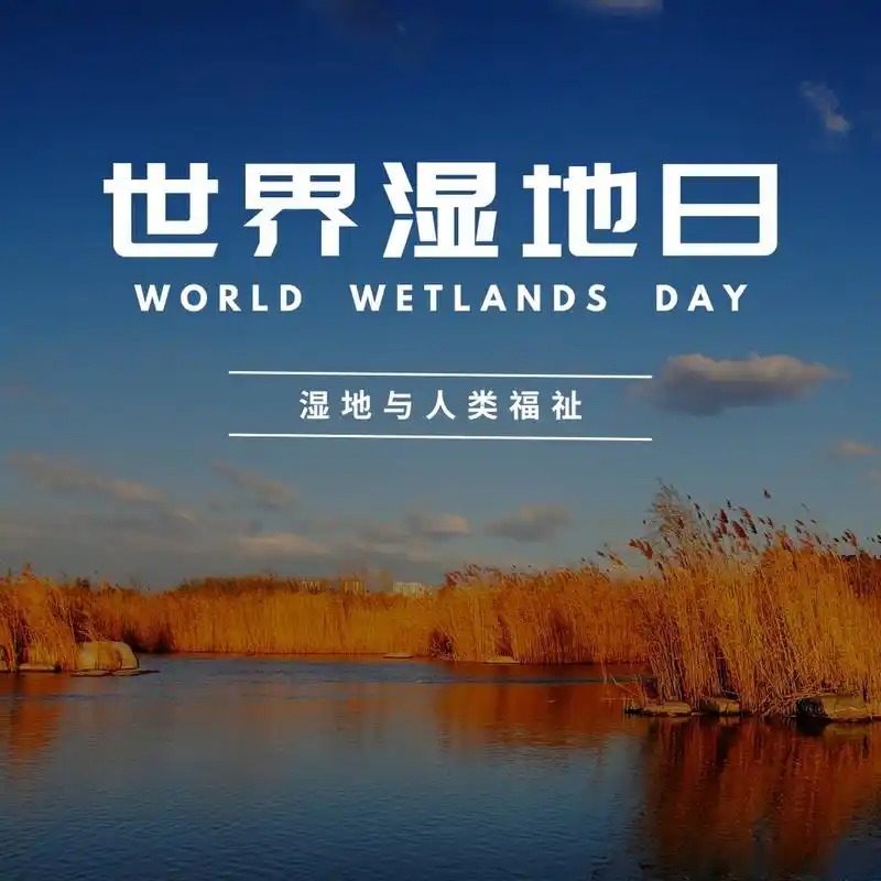 世界湿地日