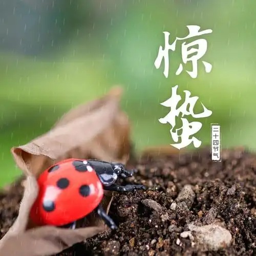 惊蛰