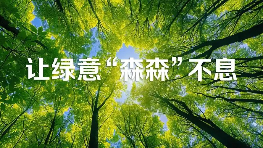 世界森林日