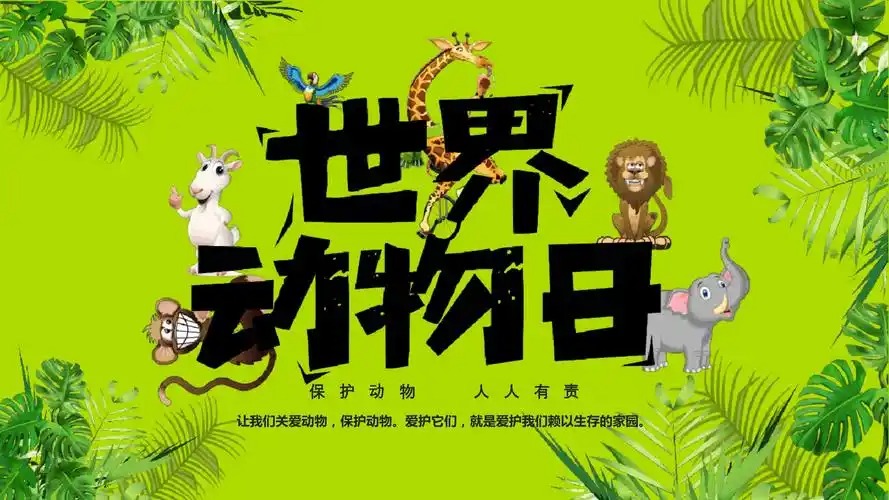 国际珍稀动物保护日