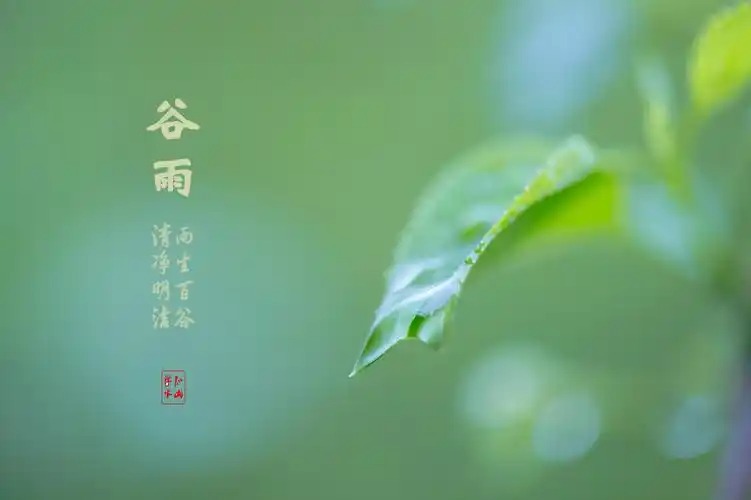 谷雨