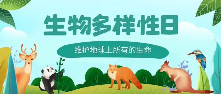 国际生物多样性日