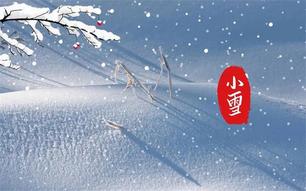 小雪节气