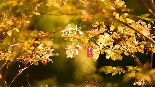 秋分