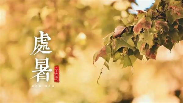 处暑