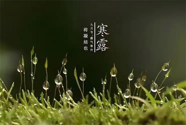 寒露