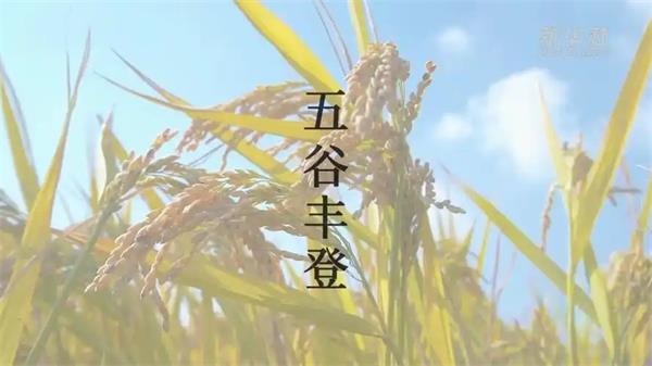 五谷母节