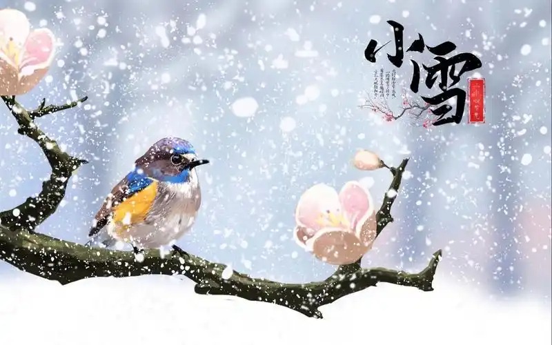 2025年的小雪是几月几号