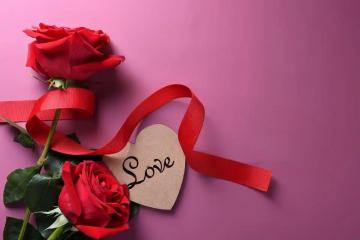 电影情人节(每年11月14日)