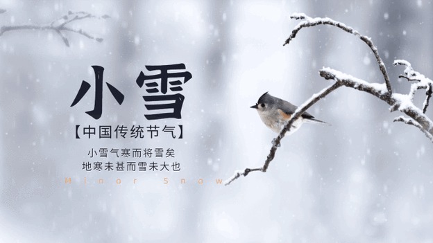 2026年小雪